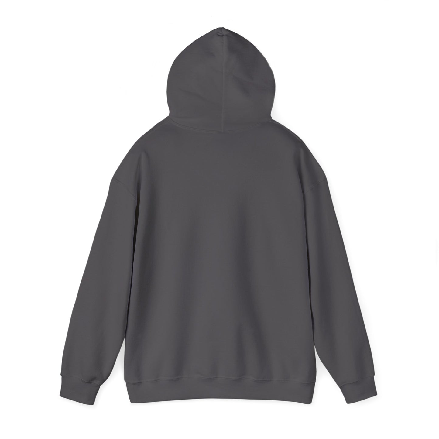 VU Meter - Hoodie Sweatshirt