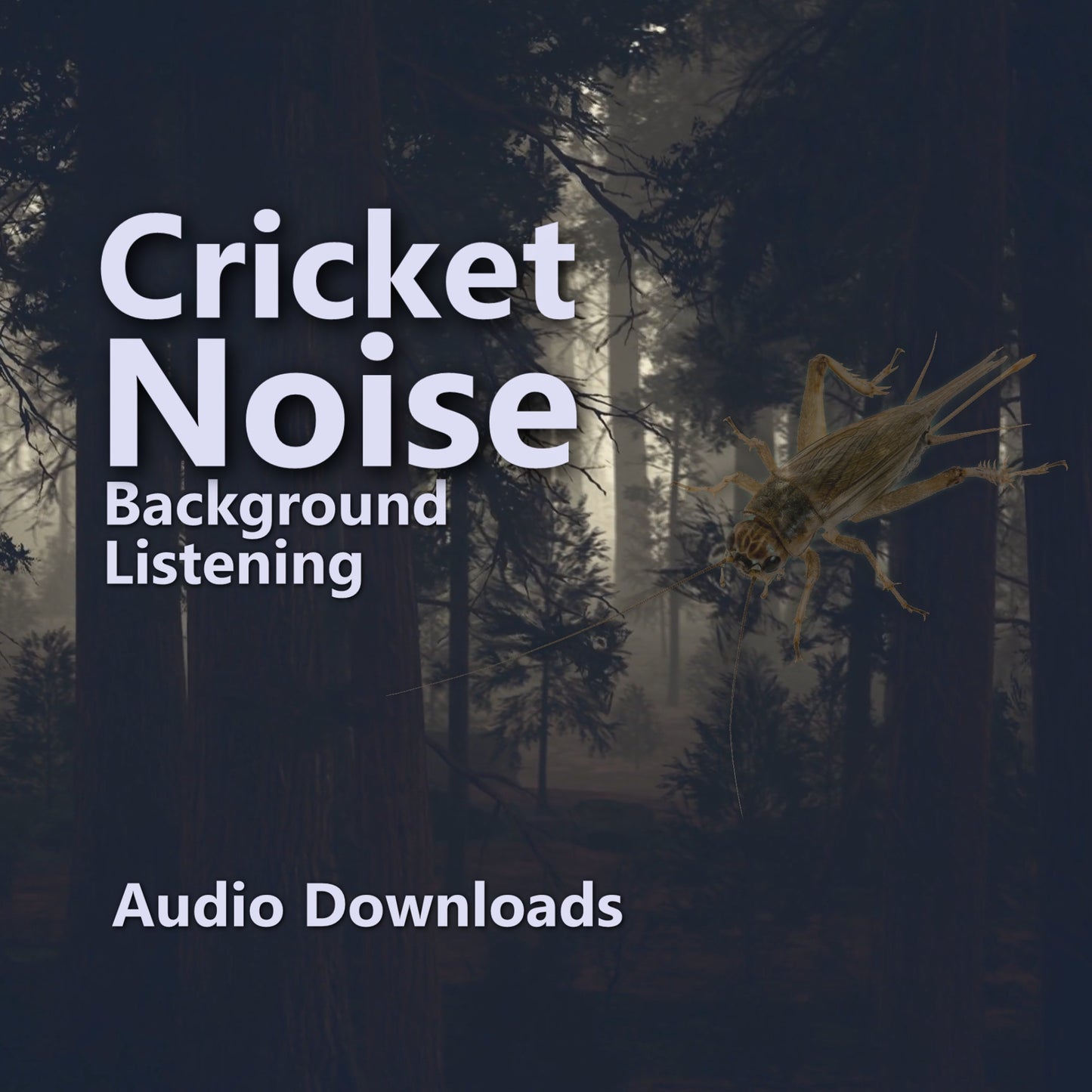 Soothing Cricket Sounds: For Sleep, Relaxation & Tinnitus Relief