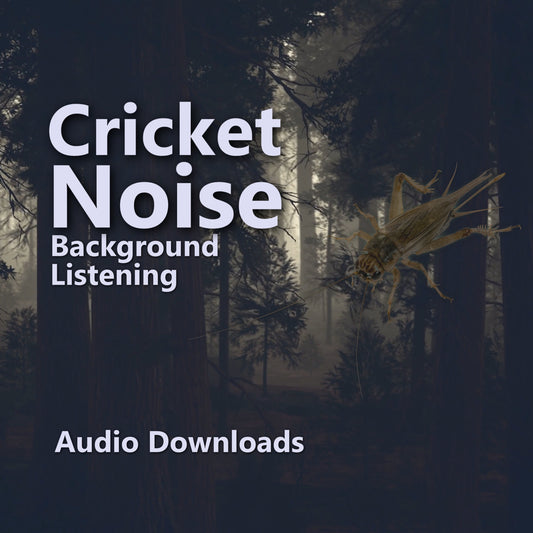 Soothing Cricket Sounds: For Sleep, Relaxation & Tinnitus Relief